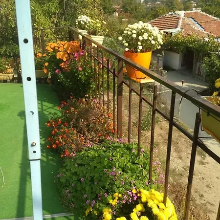 Kaltsunova House 2*