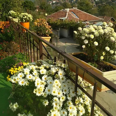 Πανσιόν Kaltsunova House Σαντάνσκι