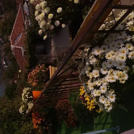 Kaltsunova House 2* Σαντάνσκι